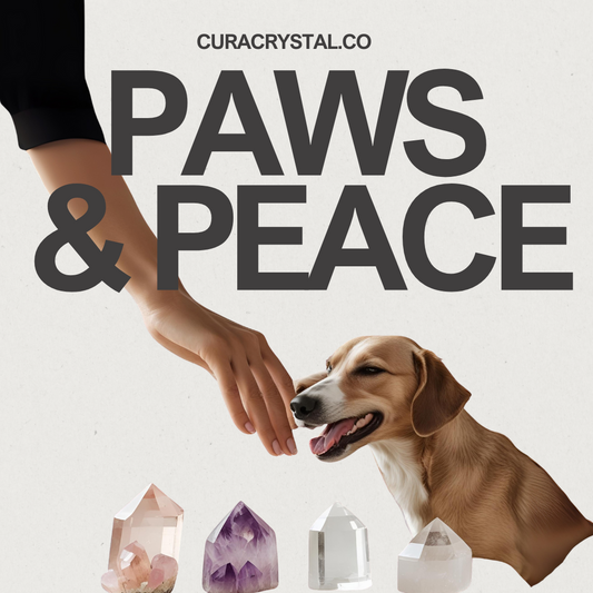 Mindful Living for You & Your Pet: A Daily Routine with Crystals